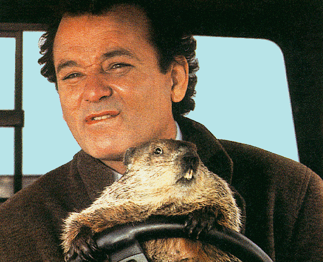 big_bill_in_groundhog-731047.gif