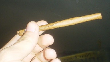 blunt3.jpg