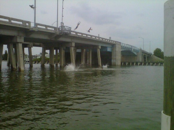 bridge.jpg