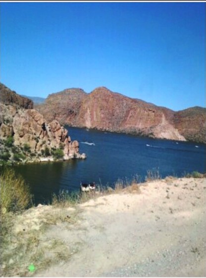 Canyon.jpg