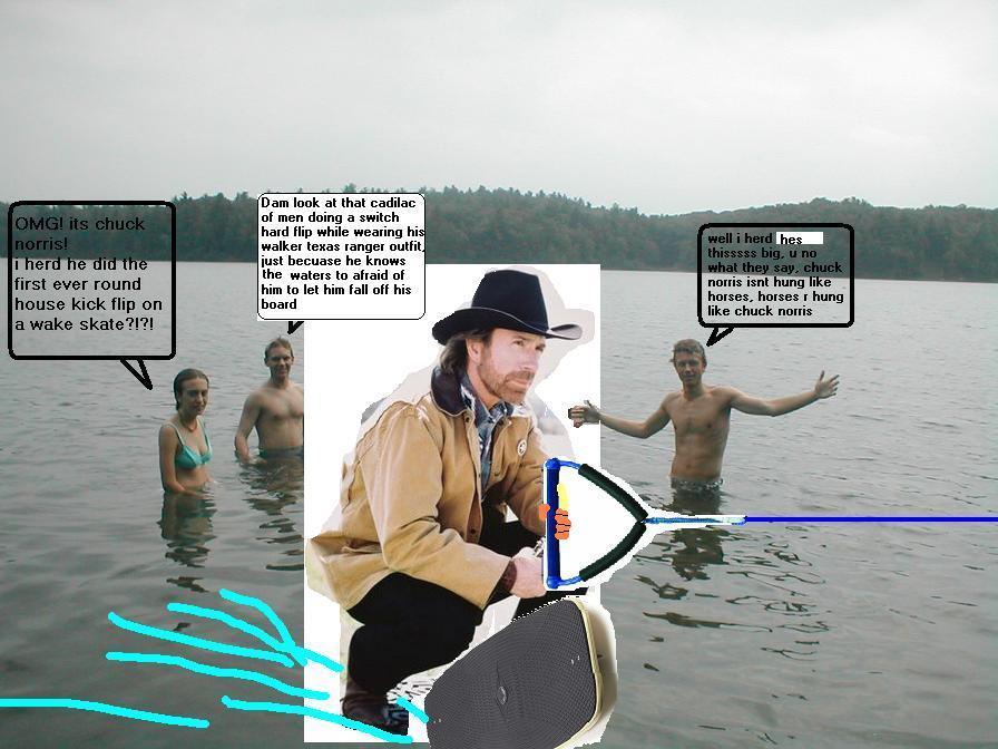 chuck norris masterpeice3.jpg