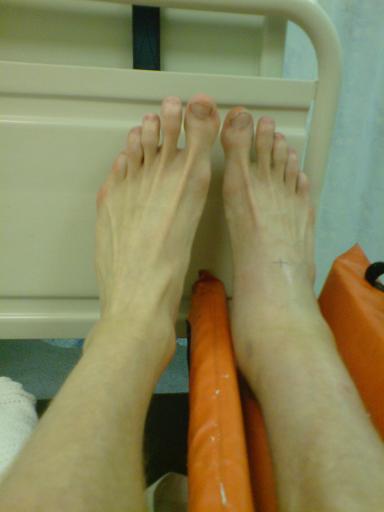 Copy of DSC00505.JPG