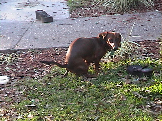 DSC00016.JPG