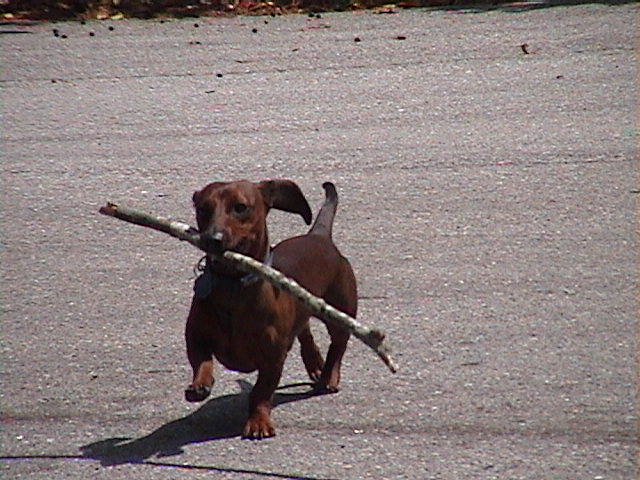 DSC00044.JPG