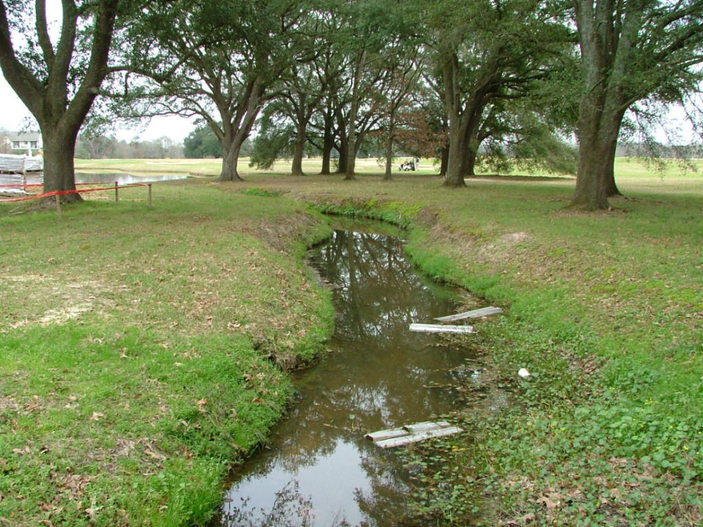 DSCF0715.JPG