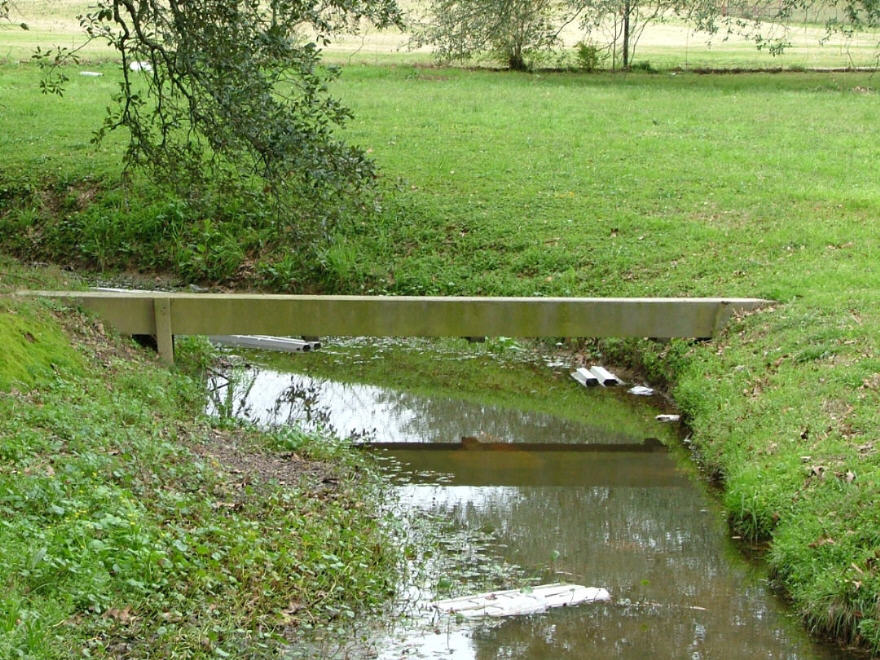DSCF0716.JPG