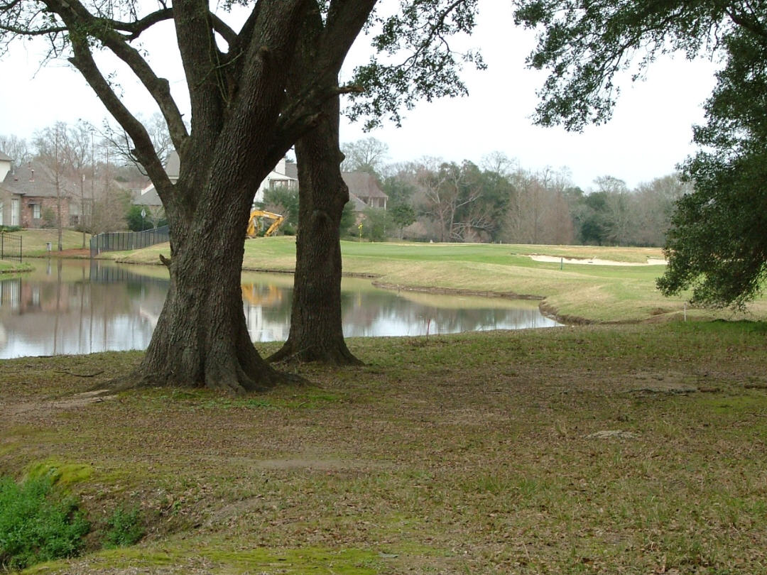 DSCF0718.JPG