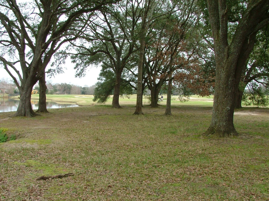 DSCF0719.JPG