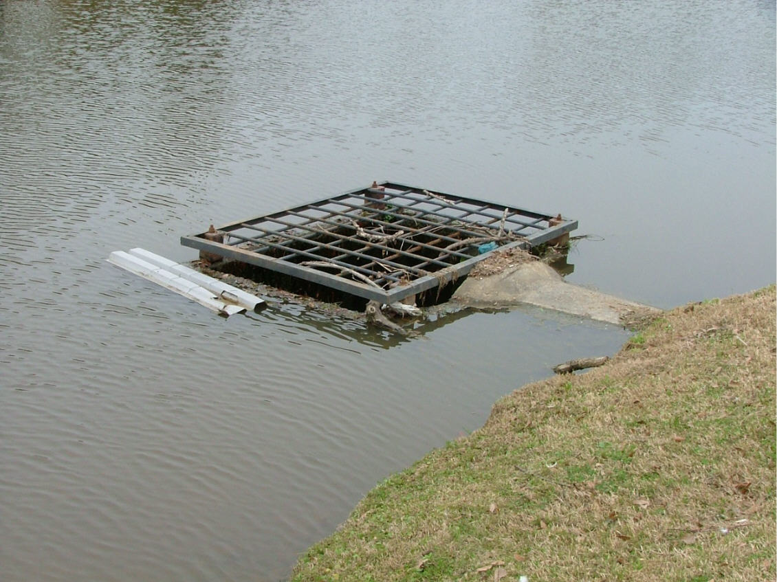 DSCF0723.JPG