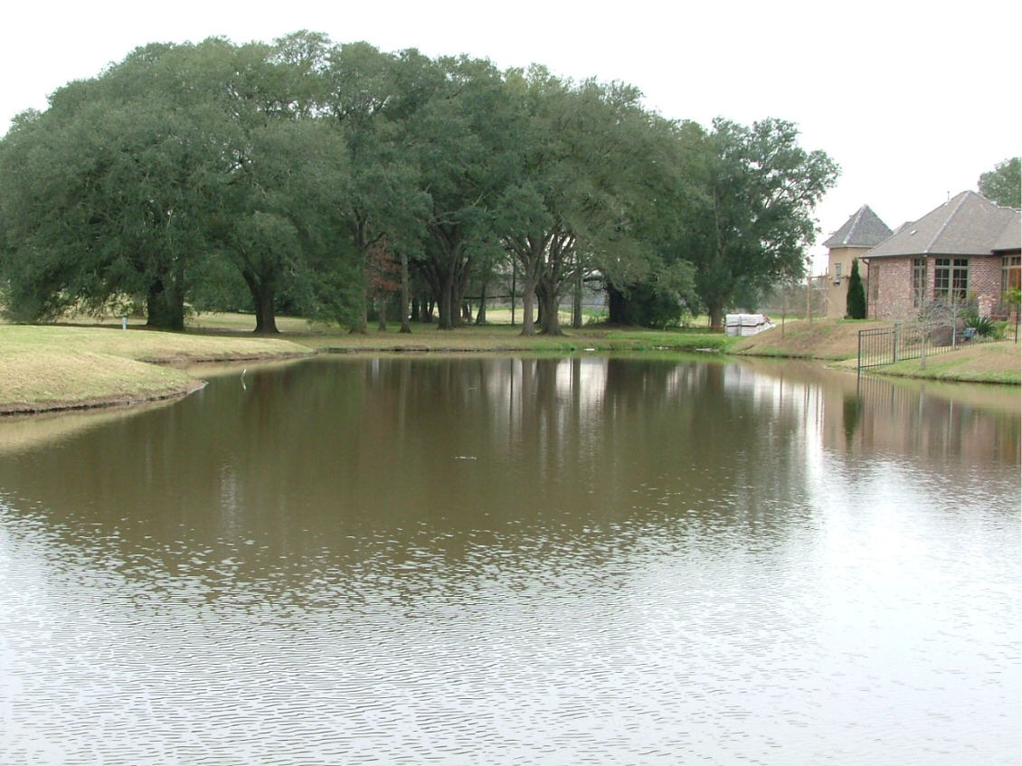 DSCF0724.JPG