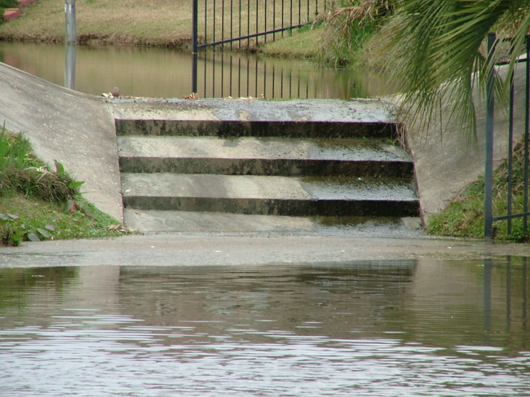 DSCF0730.JPG