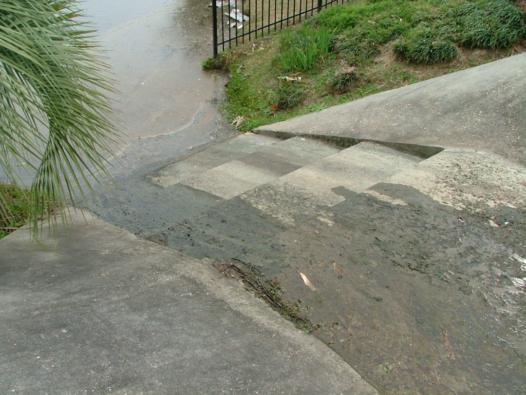 DSCF0732.JPG