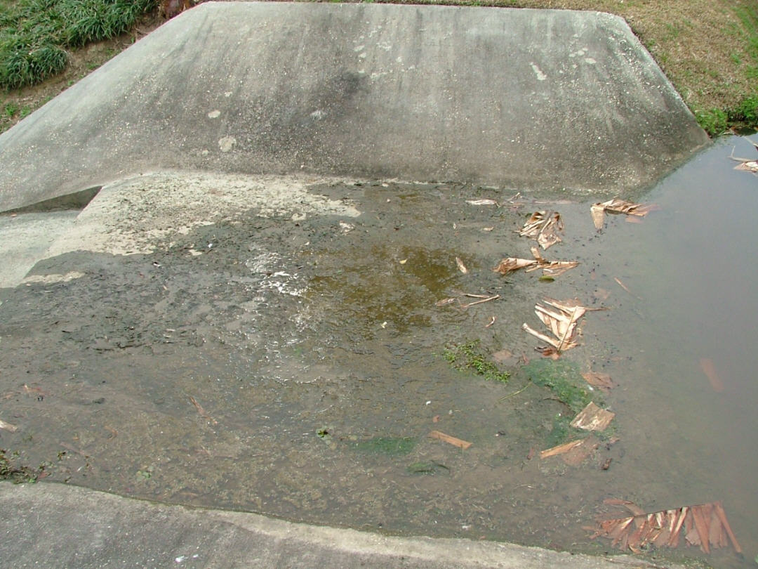 DSCF0733.JPG