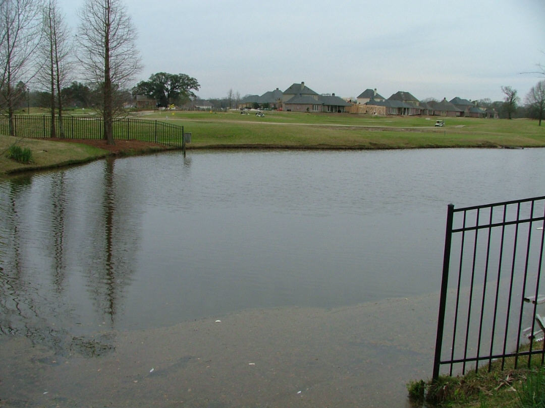 DSCF0734.JPG