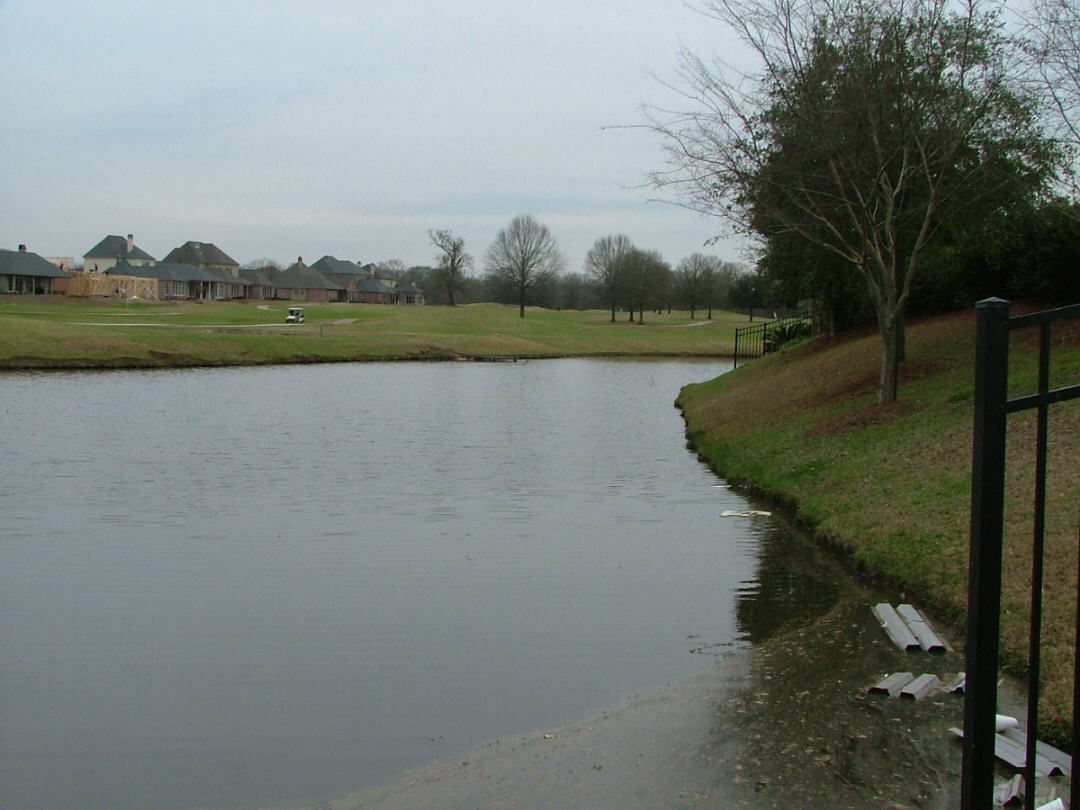 DSCF0735.JPG