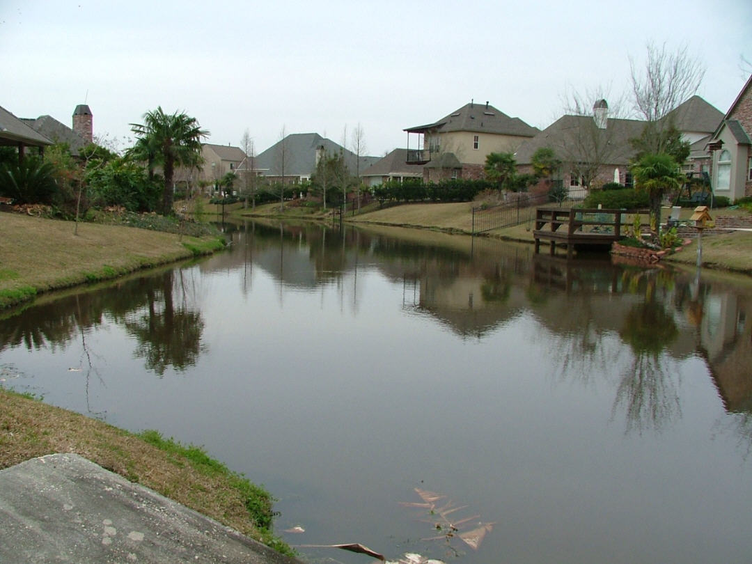 DSCF0736.JPG