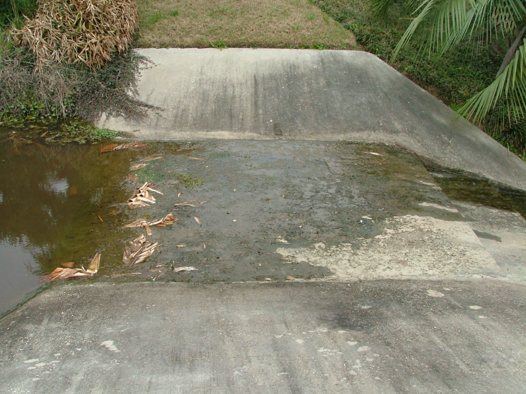 DSCF0737.JPG