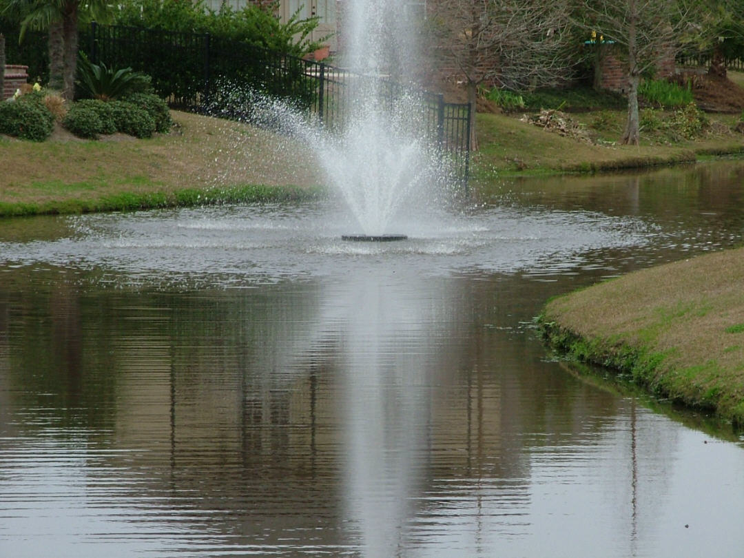 DSCF0742.JPG