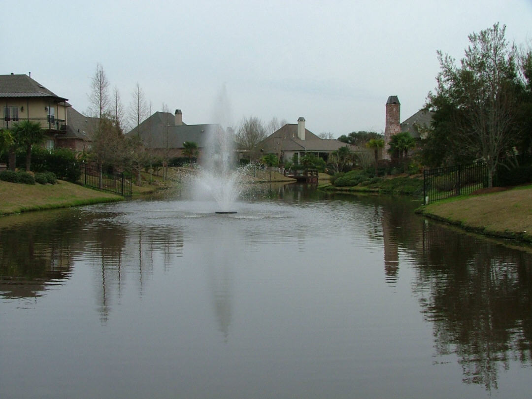 DSCF0743.JPG