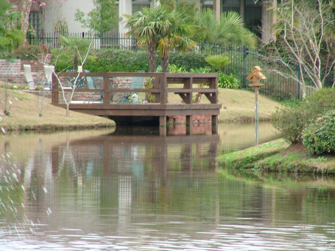 DSCF0745.JPG