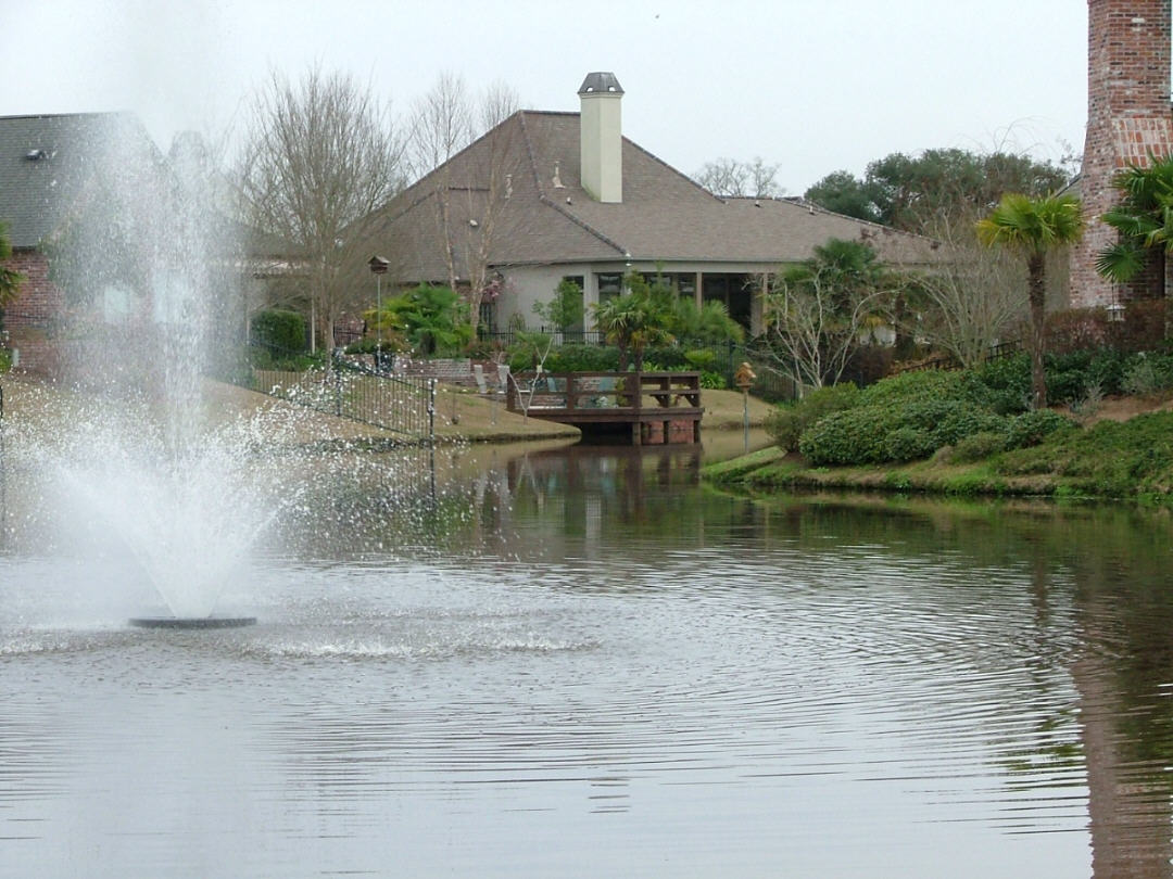 DSCF0746.JPG