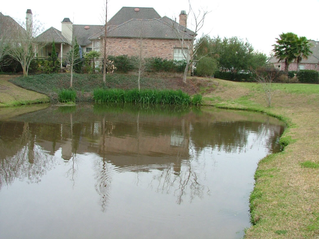 DSCF0747.JPG