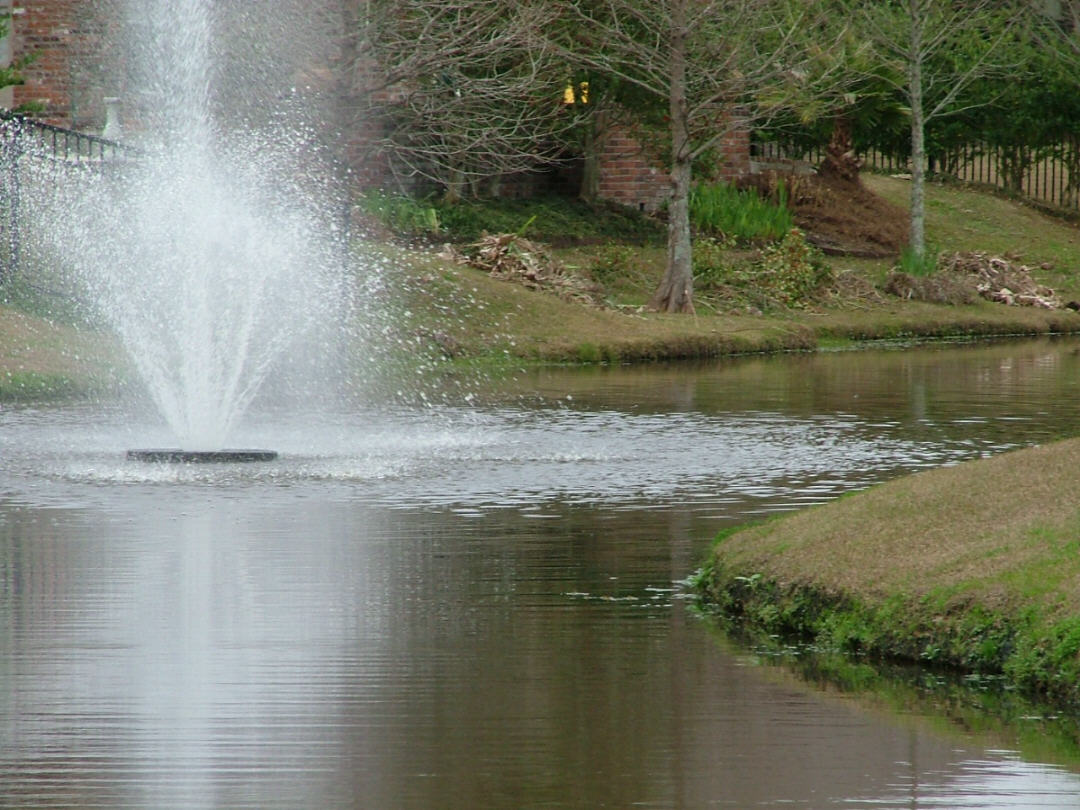 DSCF0749.JPG