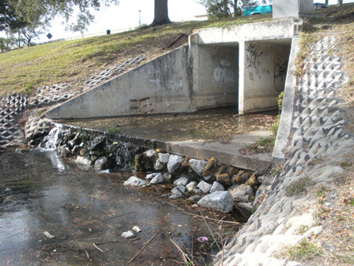 DSCN2163.jpg