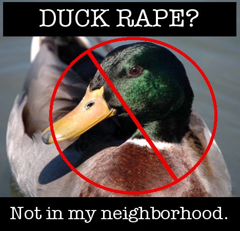 duckrape.jpg