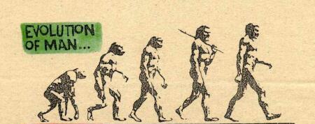 evolution.jpg