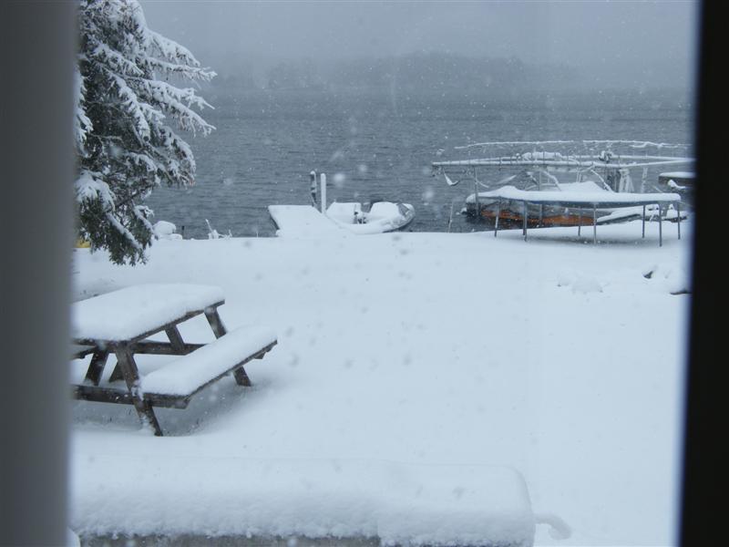 FROZENSPRING (Medium).jpg