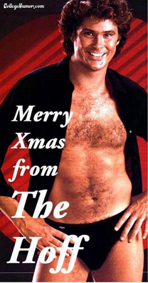 hoff.jpg