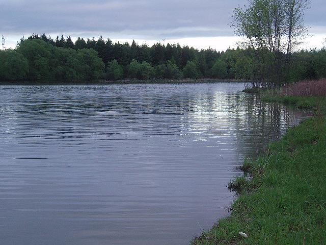 Milne Pond.JPG
