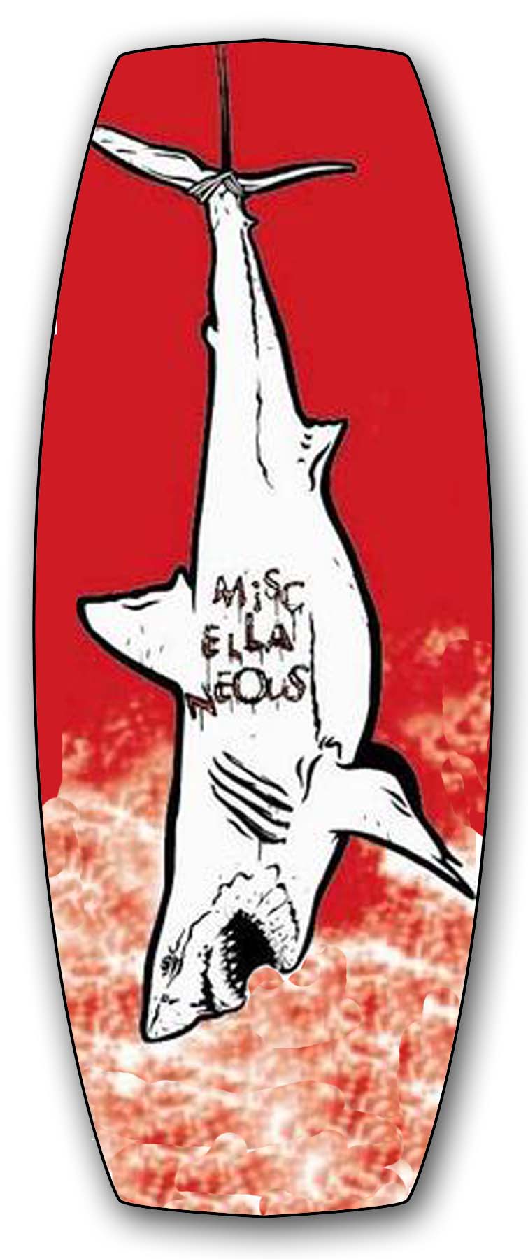 misc shark board.jpg