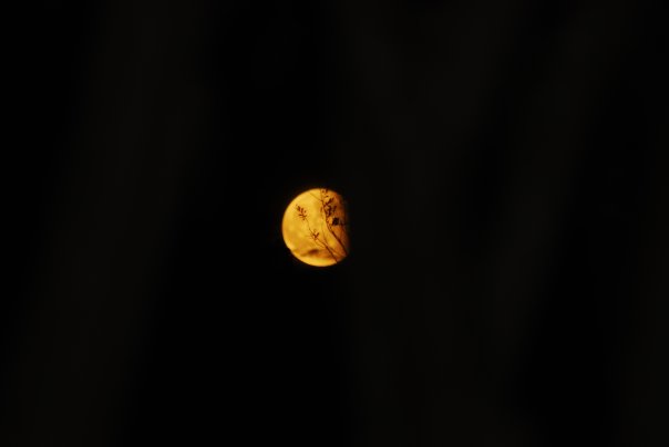 n1374072959_30075339_3898000.jpg