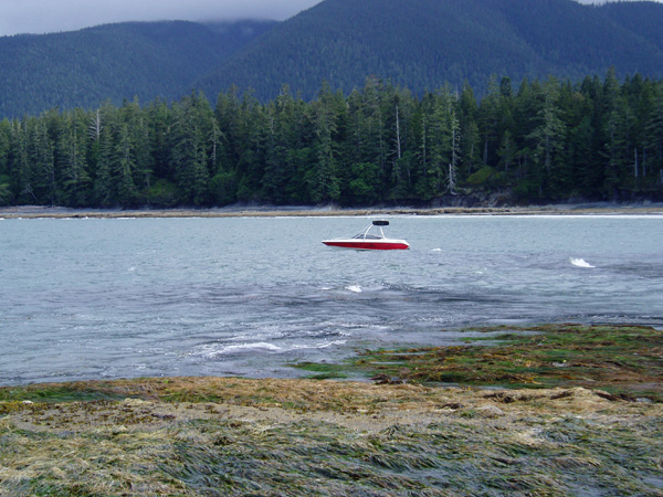 nootka 080.jpg