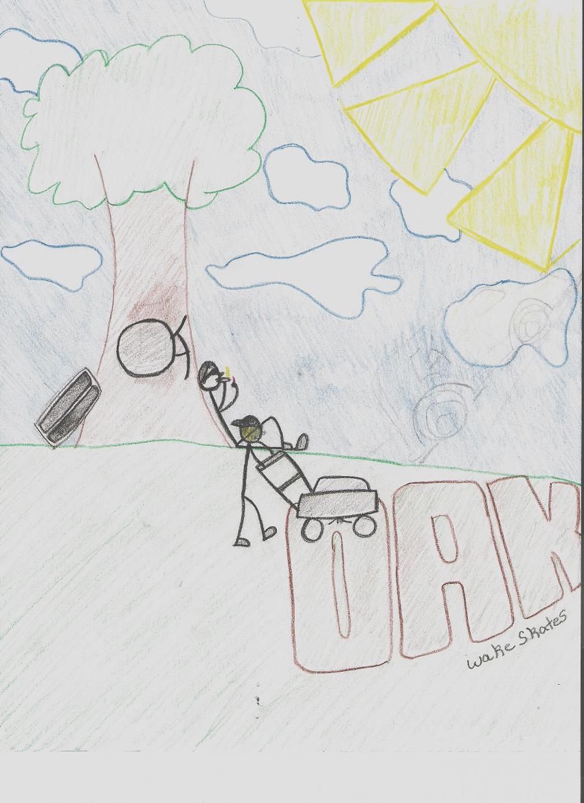 Oak pic.JPG