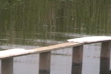 Picture 406.jpg