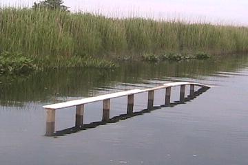 Picture 408.jpg
