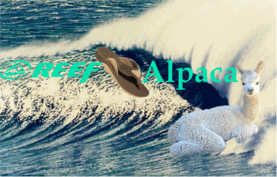 reefalpaca1.gif