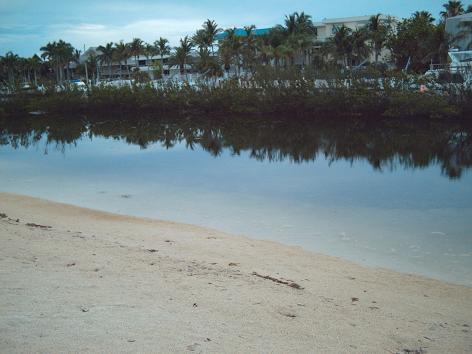 the keys2.JPG